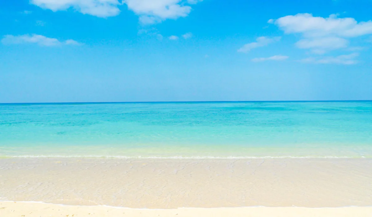 クリニックイメージ